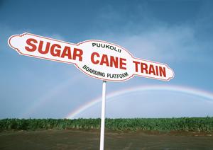 車検見積もりもスピーディ―にOK