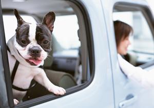 車検予約は確実に取っておくこと