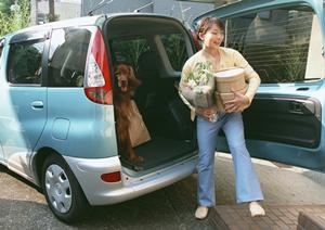 初めてでも気軽に車検の依頼を行える会社