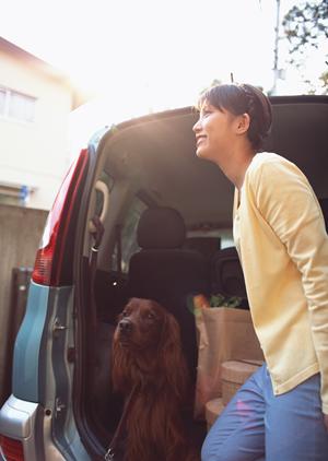 高価買取のスカイライン査定には訳がある